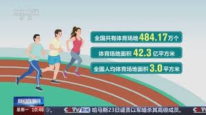 bsports官网 乒乓球台的样子